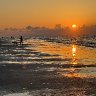 IMG_5528