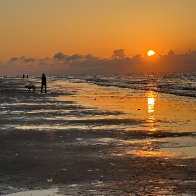 IMG_5528.jpeg