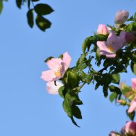 DSC_0414.jpeg