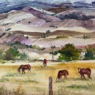 Cody Wyoming 1.JPG
