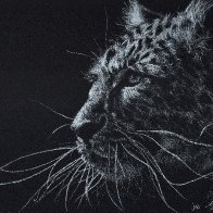 Wiley Whiskers-s.JPG