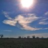 cloud angel 1