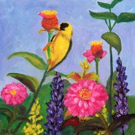 Goldfinch eating.jpg