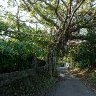 Walkway to Tamshui