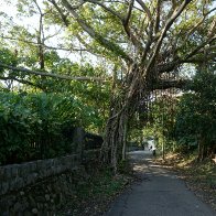 Walkway to Tamshui.JPG