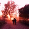 IMG_0831