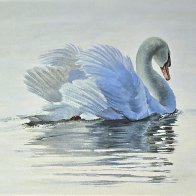 swan serenity.jpg