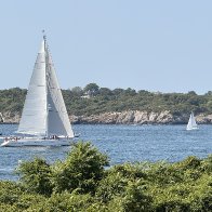 IMG_0989.jpeg