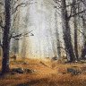 IMG_3816