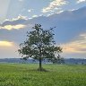 Evening walk 8/2025