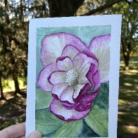 IMG_6317.jpeg