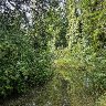 Secret place 1