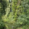 Secret place 2