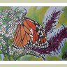 ADMIRAL BUTTERFLY