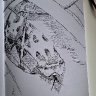 Hognose