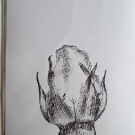 20250830_091710.jpg