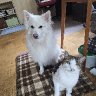 Jenny und Benni