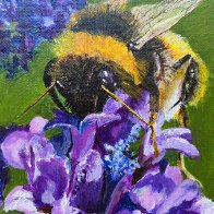Bee.jpg