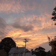 IMG_6082.JPG
