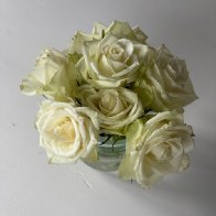 IMG_3409.jpg
