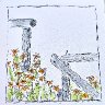 Quick and Loose 2 - Daisies