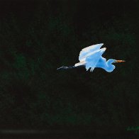 A Swan's Song.jpeg