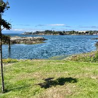 IMG_8917_framed (1).jpg
