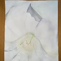 IMG_6708.jpeg