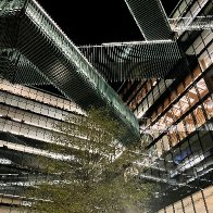 IMG_4411.jpeg