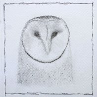 Quick Draw-4.JPG
