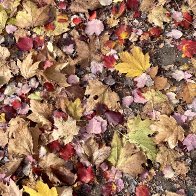 IMG_3116.jpeg