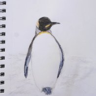 Quick   Loose-6.JPG
