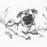 Pug-lea