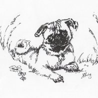 Pug-lea.jpg