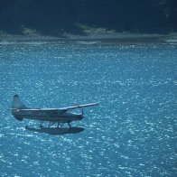 IMG_2490.jpeg