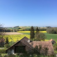 IMG_4983.jpeg