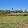 New Farm Park