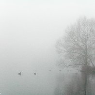 DSCN2190-Edit.jpg