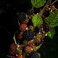 D7500_48036-Edit.jpg