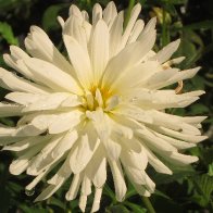 IMG_0446.JPG