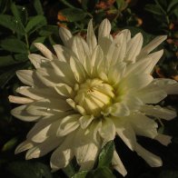 IMG_0456.JPG