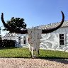 Longhorn Skull Sculpture by Joe Barrington in Albany, TX