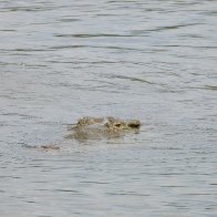 DSCN6518.JPG