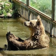 The Closest Thing To Bear Heaven (I Guess).jpg