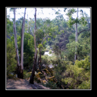 IMG_0598.png