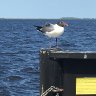 IMG_0167