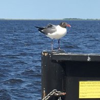 IMG_0167.JPG