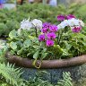 IMG_0356