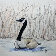 IMG_8057.jpg