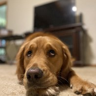 IMG_6799.JPG